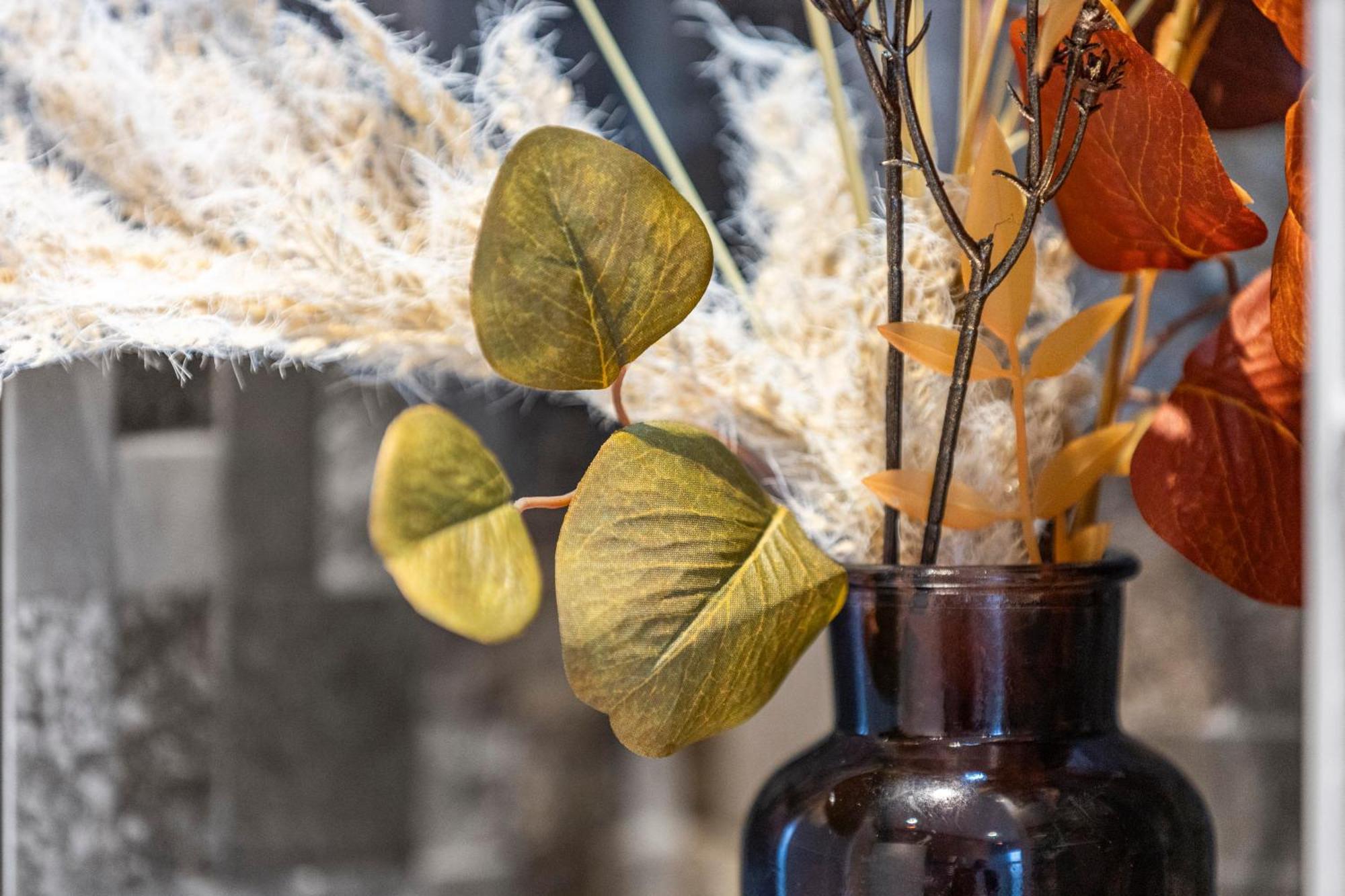 Cosy Retreat In The Heart Of Golders Green ロンドン エクステリア 写真